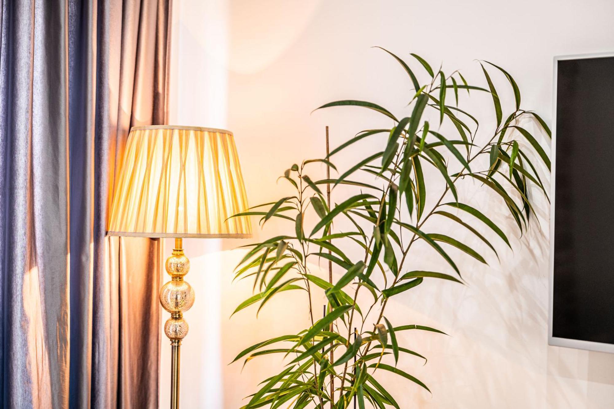 ספליט Apartment Lilly מראה חיצוני תמונה